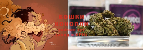 mdpv Ельня