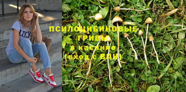 мяу мяу мука Заволжск