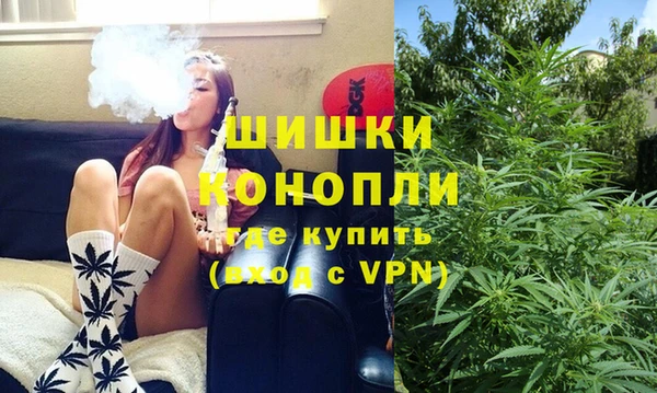 ешки Дмитриев