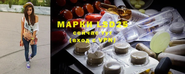 mdpv Ельня